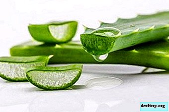 For 100 years of life - the healing properties of aloe! Effective Health Recipes