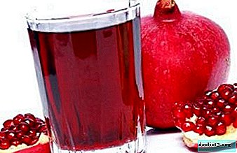 2 types of citrus and pomegranate juicers, as well as tips on how to make a drink without special devices