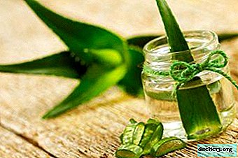 Aloe en la medicina popular: 7 formas de hacer tinturas curativas