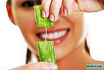 We quickly cure and strengthen the immune system. Aloe from a cold: useful properties of a plant and how to make drops