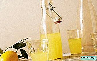 כמה שימושי תמיסת לימון? איך לבשל על אלכוהול, בלעדיו ועם מרכיבים אחרים?