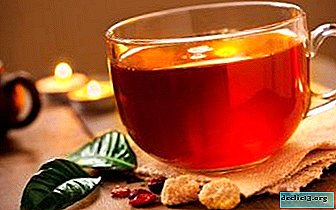 O que é chá de rododendro e como fazê-lo?