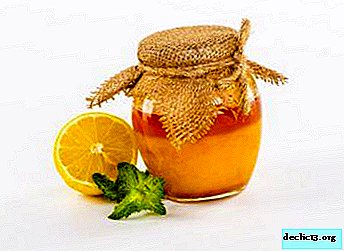 Wunderdiät auf Honig und Zitrone. Sind sie wirksam zur Gewichtsreduktion?