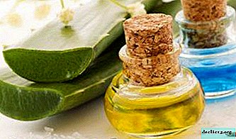 An effective cosmetic product that is not difficult to prepare by yourself: aloe oil