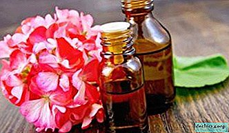 Where geranium oil may come in handy: properties and uses of this product