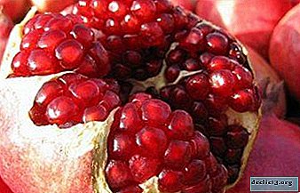 The chemical composition and calorie content of pomegranate, its benefits and harm to health