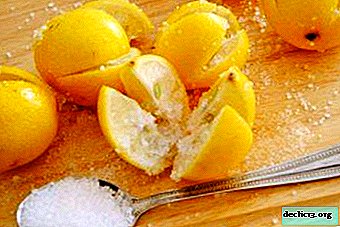 En intressant kombination är citron och salt: vad används det för, hur man förbereder kompositionen och kan det vara skadligt?