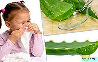 علاج طبيعي ثبت لنزلات البرد عند الأطفال هو قطرات من الصبار. كيفية استخدام الألوة في أنف الأطفال؟