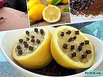 Getting rid of mosquitoes is easy! Lemon and cloves against annoying insects