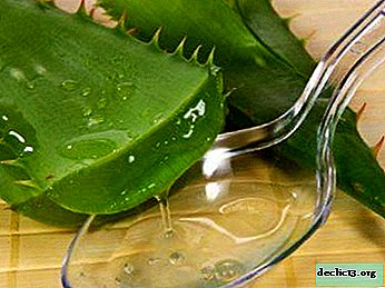 How to effectively cure hemorrhoids with aloe? Specific recipes and tips