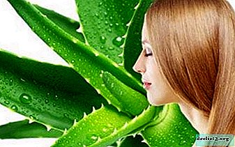 How to improve hair with aloe? Mask recipes and tips