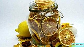 Kako narediti posušeno limono? Uporabne lastnosti in uporaba izdelka