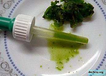 Comment utiliser Kalanchoe pour la sinusite? Recettes pour faire des préparations à partir du jus et de la pulpe d'une plante