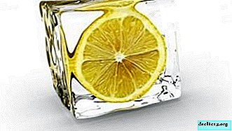 Wie man Zitronen rettet? Können sie eingefroren werden?