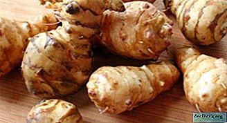 What are the healing properties of Jerusalem artichoke and its use? Useful recipes