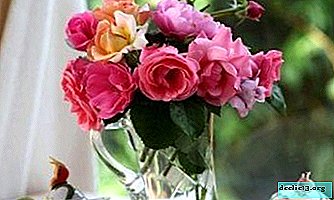 Ramo hermoso y fresco: ¿qué se puede y qué no se puede agregar al agua para que las rosas permanezcan más tiempo?