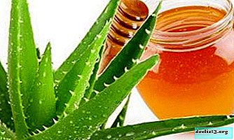 Medicinske egenskaber og egenskaber ved brugen af ​​aloe vera sammen med honning
