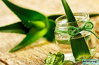 Therapeutic aloe juice. How to save for future use at home?