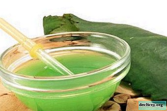 يتم علاجنا بمساعدة صيدلية خضراء - استخدام عصير كالانشو من البرد