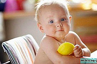 Kas on võimalik anda lapsele sidrunit ja millal proovida selle sissetoomist dieedile?
