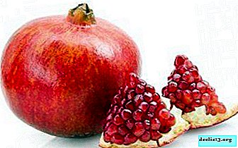 Ali je mogoče uporabiti sok granatnega jabolka in samega sadja za hemoglobin - ga povečajo, kako ga pravilno uporabiti?