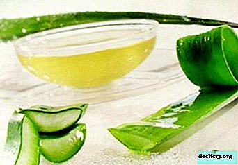 Is it possible to cure cough in children with aloe juice? Recipes and recommendations