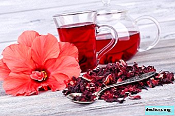 “Bebida dos faraós” - chá de hibisco. Onde obtê-lo e como cozinhar?