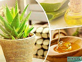 The nuances of using aloe in oncology. Medicinal properties and contraindications