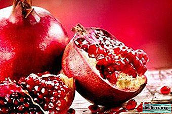 Odtenki uživanja granatnega jabolka: kako ga pravilno jesti, da ne bi škodili zdravju in ga dali hišnim ljubljenčkom?