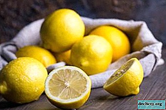 Overview of lemon varieties for home growing. General principles of care