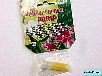 Features of the use of agents for stimulating flowering plants: cytokinin paste for orchids