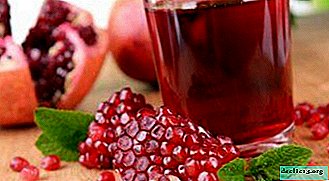 Why does pomegranate juice benefit men? Composition, indications and use