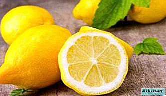 Warum entfernt die Zitrone Gerüche im Kühlschrank und andere Aromen? Empfehlungen: wie man Bernstein mit Zitrusfrüchten entfernt?