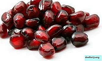 Are pomegranate seeds useful and can they be eaten with grains? What you need to know in order not to harm the body?