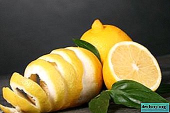 خصائص مفيدة من قشر الليمون وميزات التطبيق في الطب والتجميل والحياة اليومية. توصيات عملية