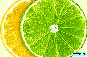 Propriétés utiles, contre-indications et portée du citron vert et du citron vert. Quelle est la différence entre ces fruits?