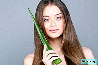 The benefits of aloe for the face: recipes for preparing skin products at home