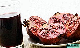 Benefits and recipes for making pomegranate tinctures