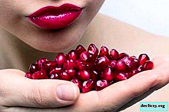 The benefits and harms of pomegranate for women. Delicious recipes