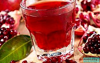 The benefits and harms of pomegranate juice for pregnant women - is it possible to drink a drink? Cooking and Selection Tips