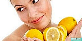 Koristi in škode limone za mlade matere. Ali lahko med dojenjem uporabljam citrusi?