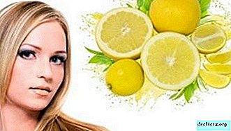 Os benefícios e malefícios do limão durante a gravidez. As futuras mães podem comer frutas cítricas?