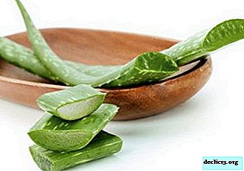 Un produit de soin personnel populaire et peu coûteux: l'huile d'aloe vera