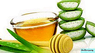 Aloe aidera à renforcer l'immunité! Recettes folkloriques de jus d'agave au miel