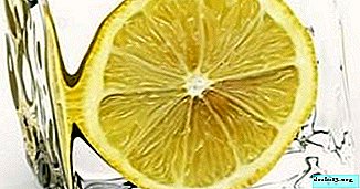 냉동 레몬이 신선한 것보다 건강하고 사용하는 것이 사실입니까?
