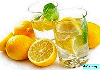 Utilisation d'analogues de jus de citron dans la cuisine et la cosmétologie - avec quoi remplacer les agrumes?