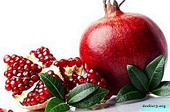 We understand many varieties of red fruit: types of pomegranates and the differences between them