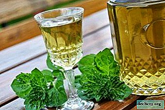La receta para hacer tinturas de limón y menta en vodka, alcohol ilegal o alcohol. Propiedades y contraindicaciones útiles.