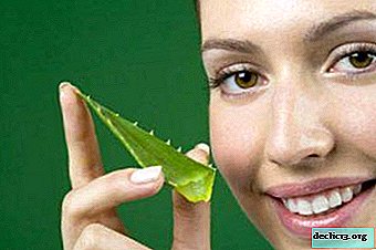 Recipes for masks and other products with aloe vera: care for hair at home
