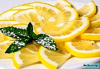 Secretos de una porción festiva: ¿cómo limpiar y cortar bellamente un limón? Instrucciones paso a paso para diferentes formas.